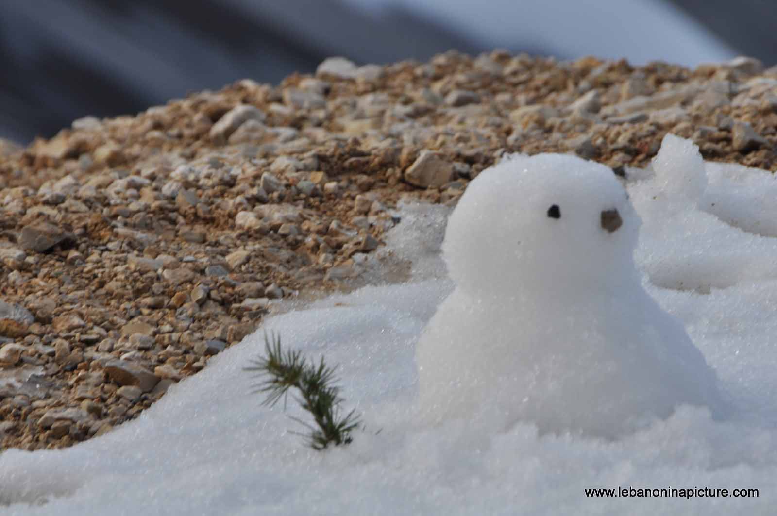 Sed Chabroo7 Winter 2012 (Shabrooh Lake)