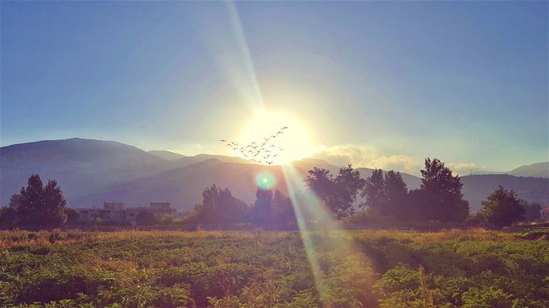 Seek the  Light. Find a Way . LiveLoveLebanon ... (Beqaa Valley)