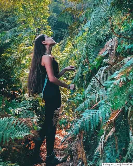 She just loves staring at @NATURE 💚☘️ (Lebanon)