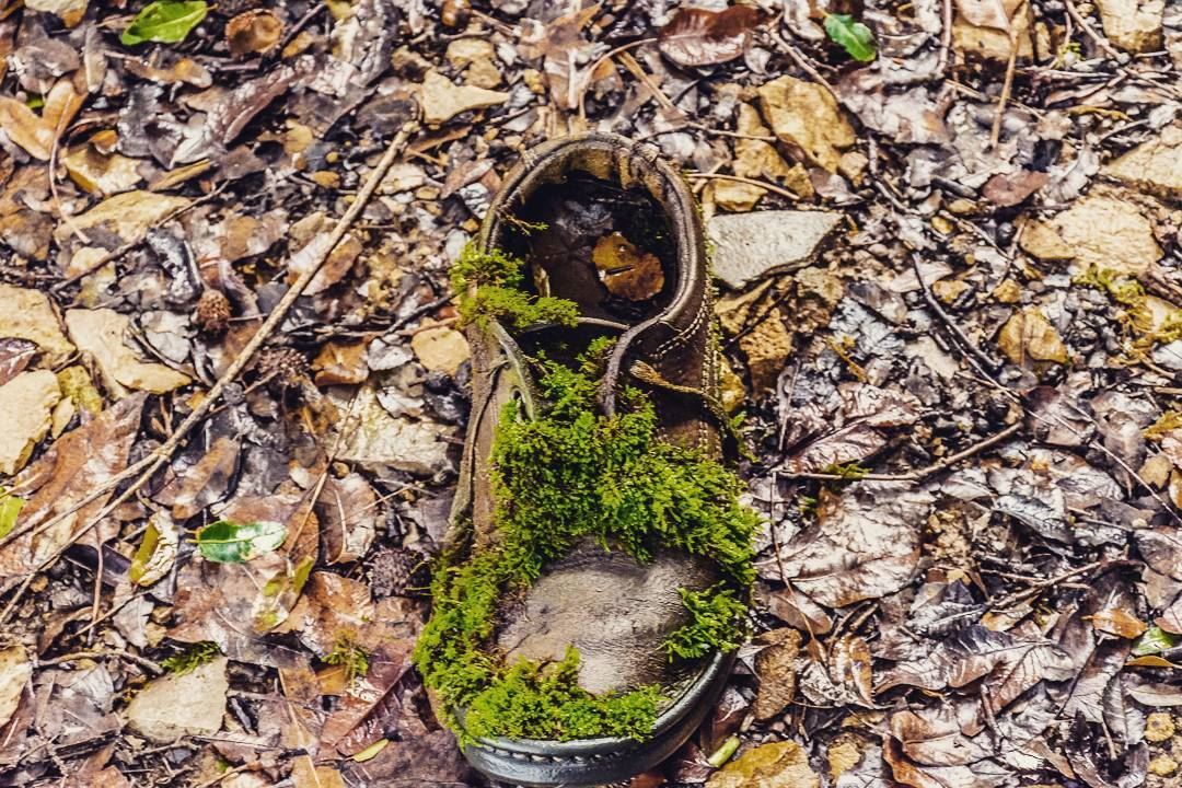 Shoe__________________________________________... (Lebanon)