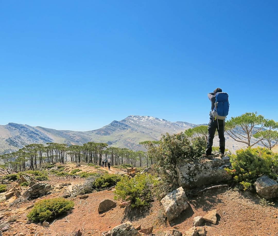 Siffler sur la colline...  breathe  hike  climb  nature  mountains  pine  ...