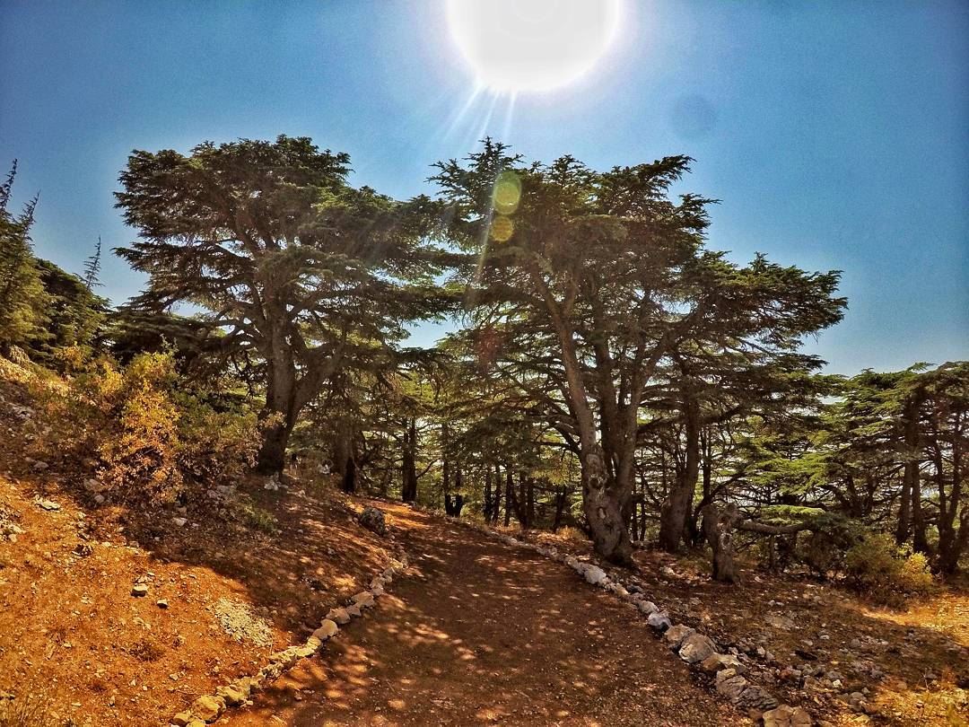 Silence is a source of great strength.... livelovelebanon ... (Arz el Bâroûk)