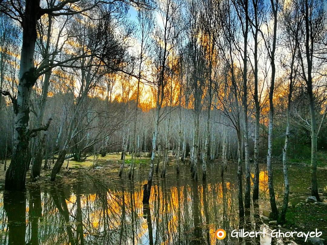 Silence is a source of great strength. reflection  water  mirror  sunset ...