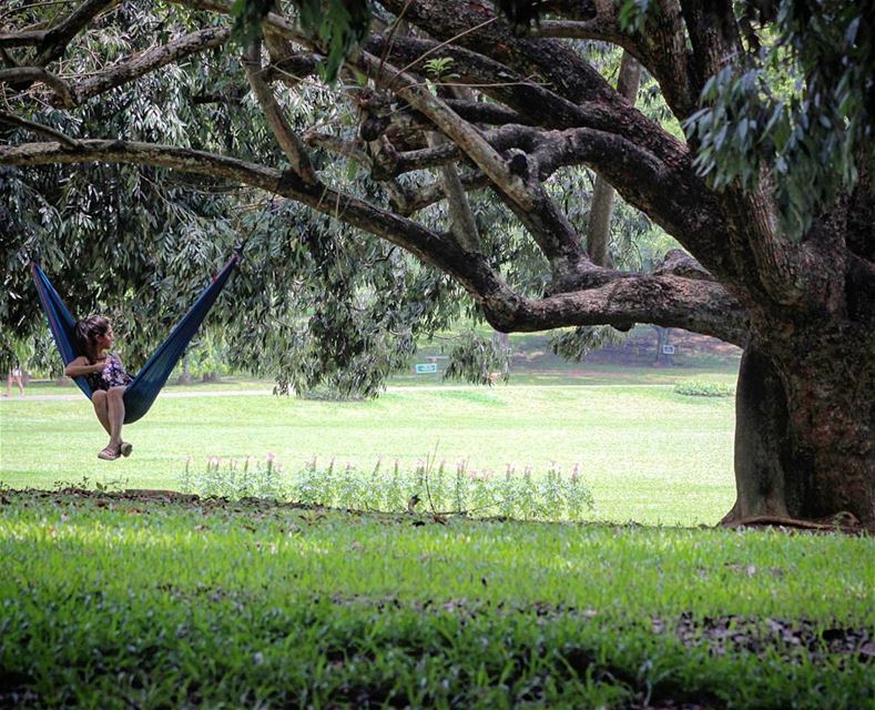 Sitting in the shade because someone planted a tree a long time... (Kandy,Sri Lanka ''මහ නුවර'')