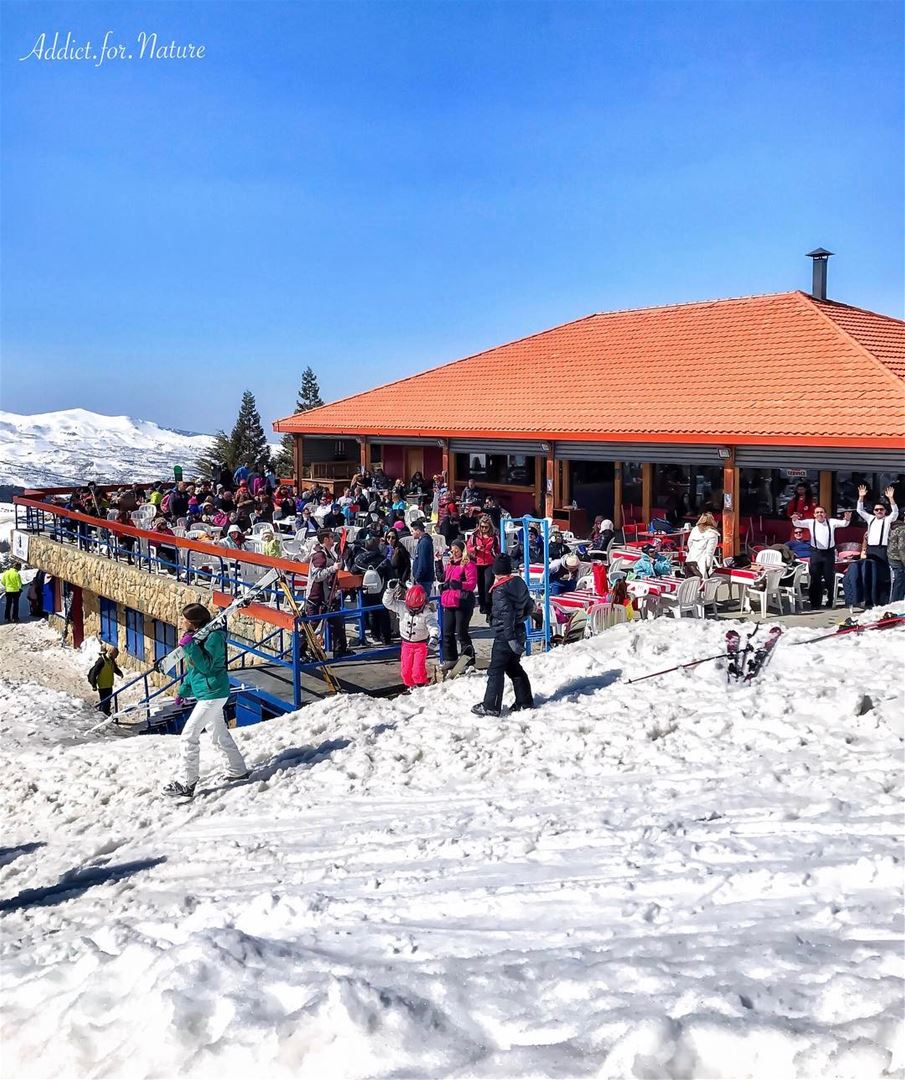  skiing  teleski  cedars  lebanon  mountains  snow  sunnyday  nature ... (Cedars Ski Slopes)