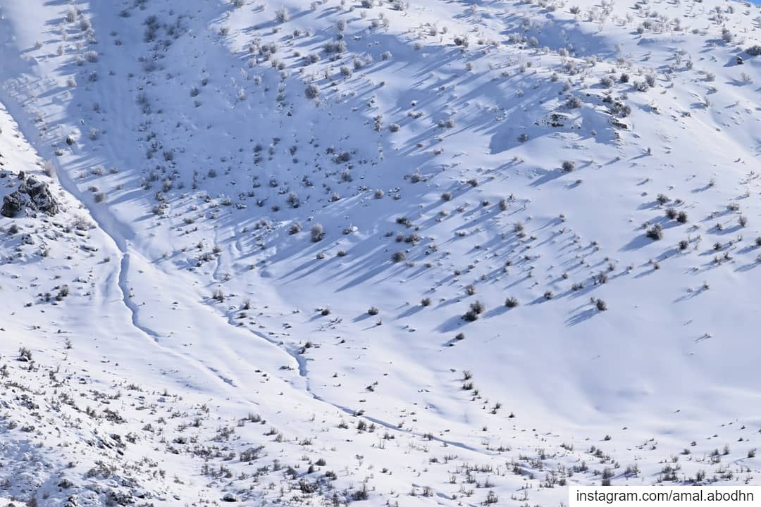 snow everywhere ❄ .... lebanon  photography  photographylovers ... (Hasbaya District)