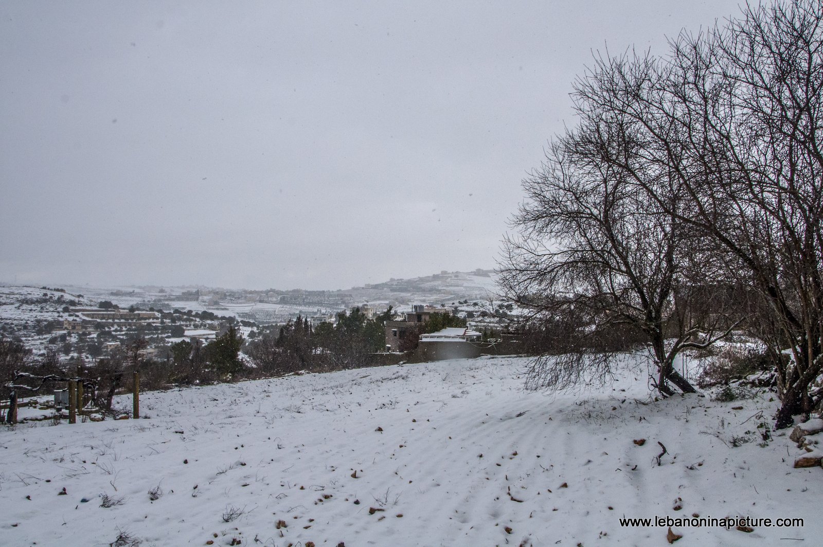 Snow Storm in (Yaroun)