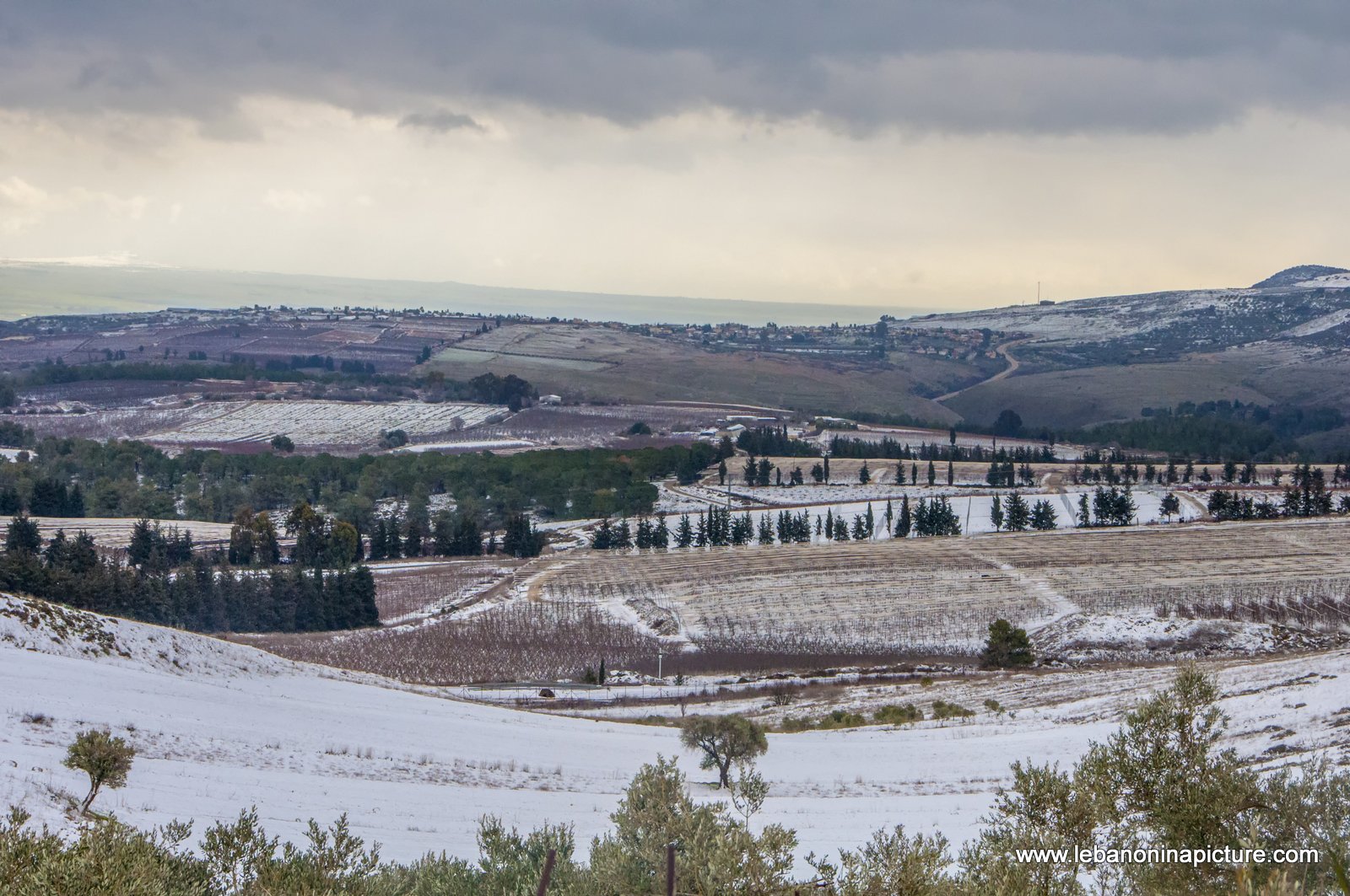 Snow Storm in (Yaroun)