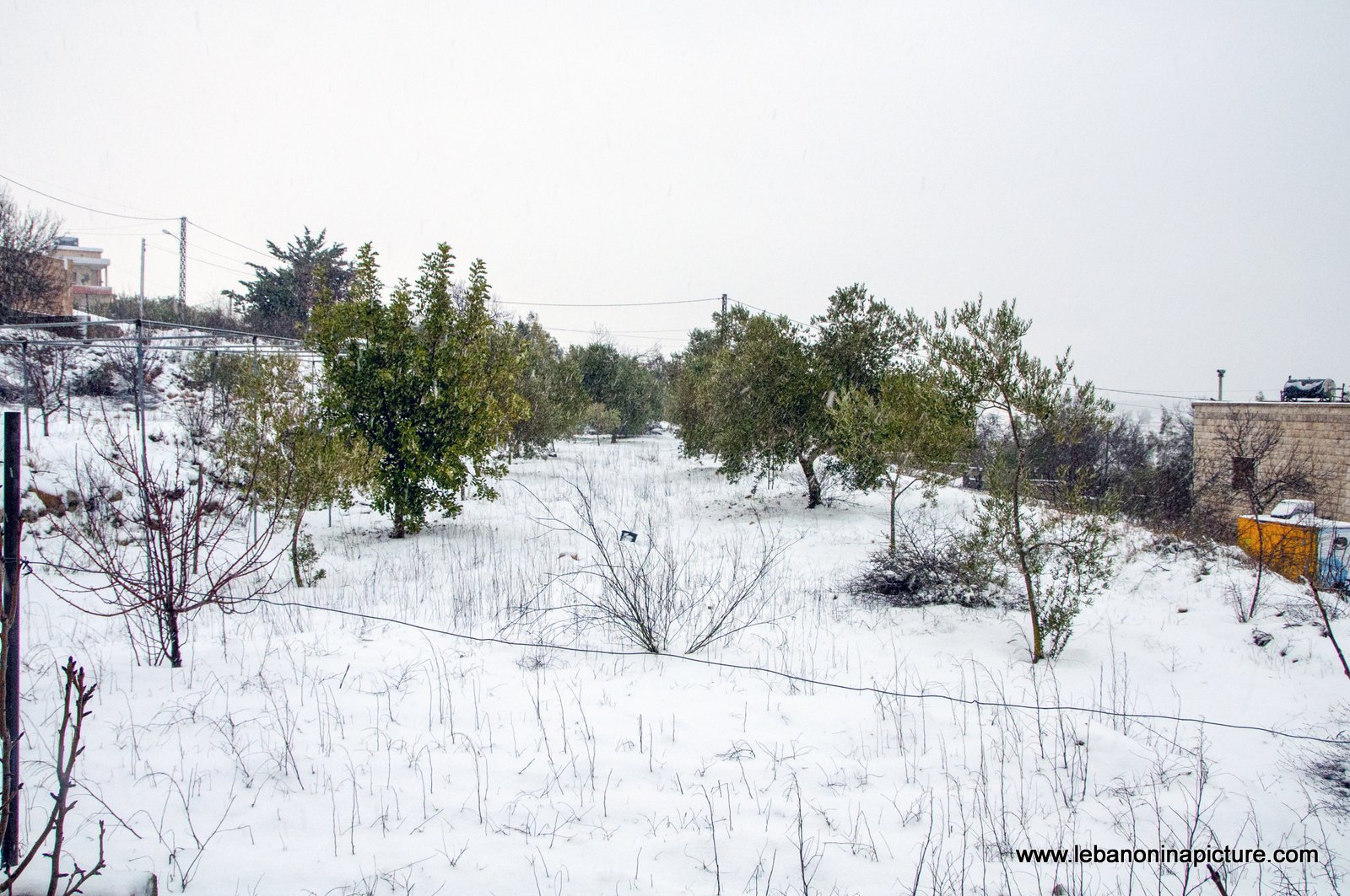 Snow Storm in (Yaroun)