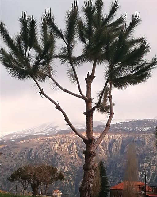 SNOW, VALLEY,. RED ROOF baskinta   lebanontravelmagazine  ... (Baskinta, Lebanon)