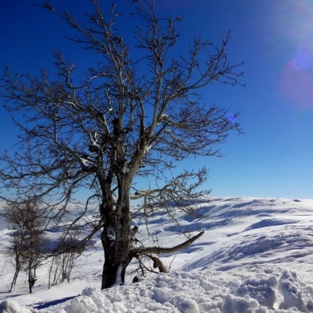  snow white mountain Lebanon beautiful country ilovelebanon sky...