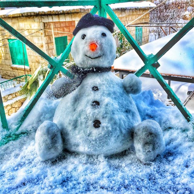 Snowflakes are one of the nature's most fragile things, but look at what... (Bois-de-Boulogne)