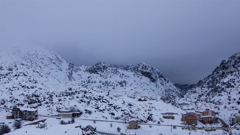Snowing in Laklouk (Laqlouq, Lebanon)