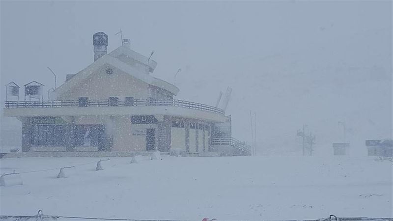 Snowing in Piste Warde Kfradebian