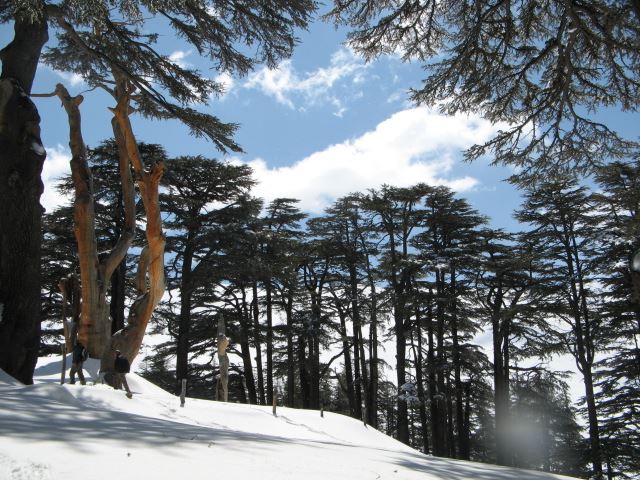 Snowshoeing Arz Bakafra 2009