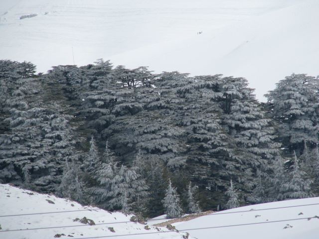 Snowshoeing Arz Bakafra 2009