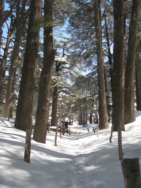 Snowshoeing Arz Bakafra 2009