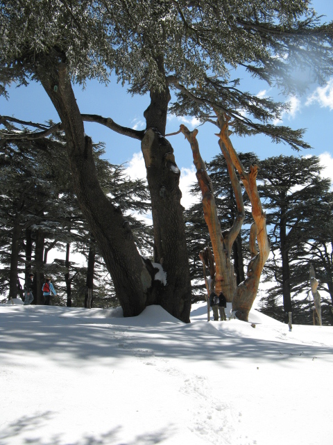 Snowshoeing Arz Bakafra 2009