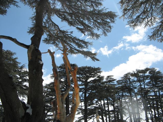 Snowshoeing Arz Bakafra 2009