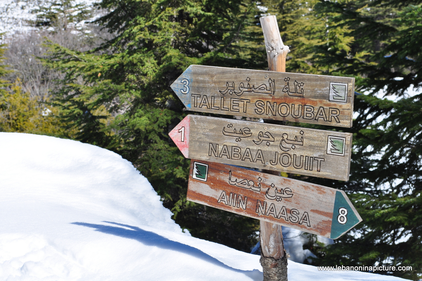 Snowshoeing Ehden Reserve (Horsh Ehden Winter 2012)