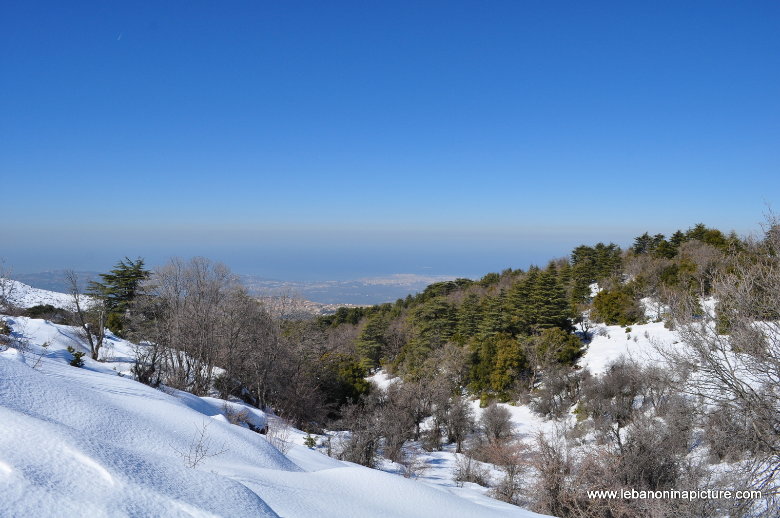 Snowshoeing Ehden Reserve (Horsh Ehden Winter 2012)