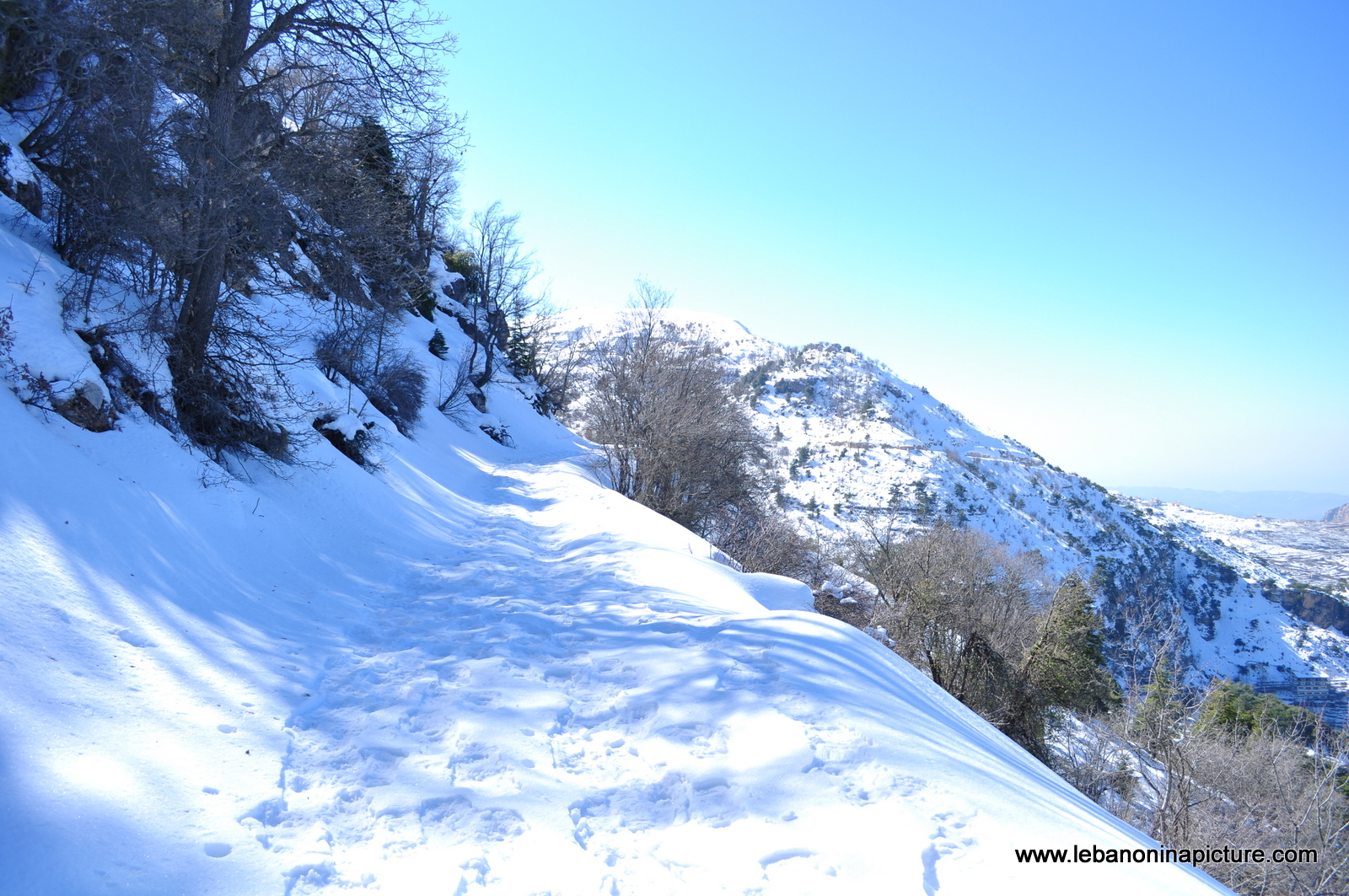 Snowshoeing Ehden Reserve (Horsh Ehden Winter 2012)