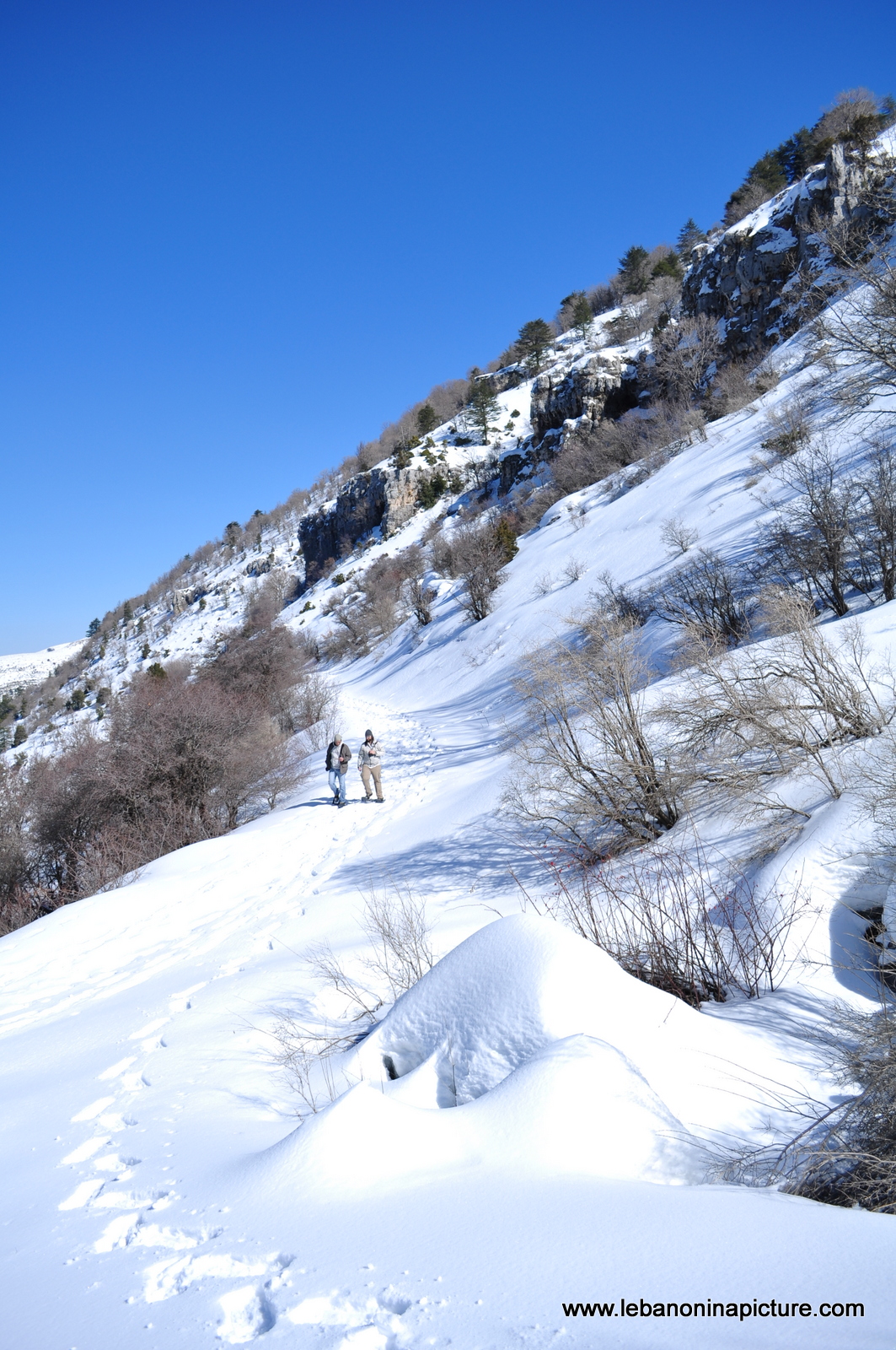 Snowshoeing Ehden Reserve (Horsh Ehden Winter 2012)