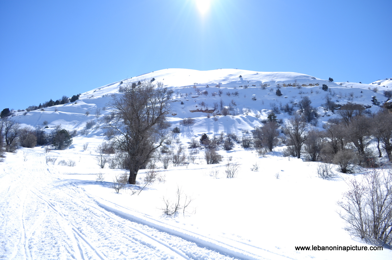 Snowshoeing Ehden Reserve (Horsh Ehden Winter 2012)