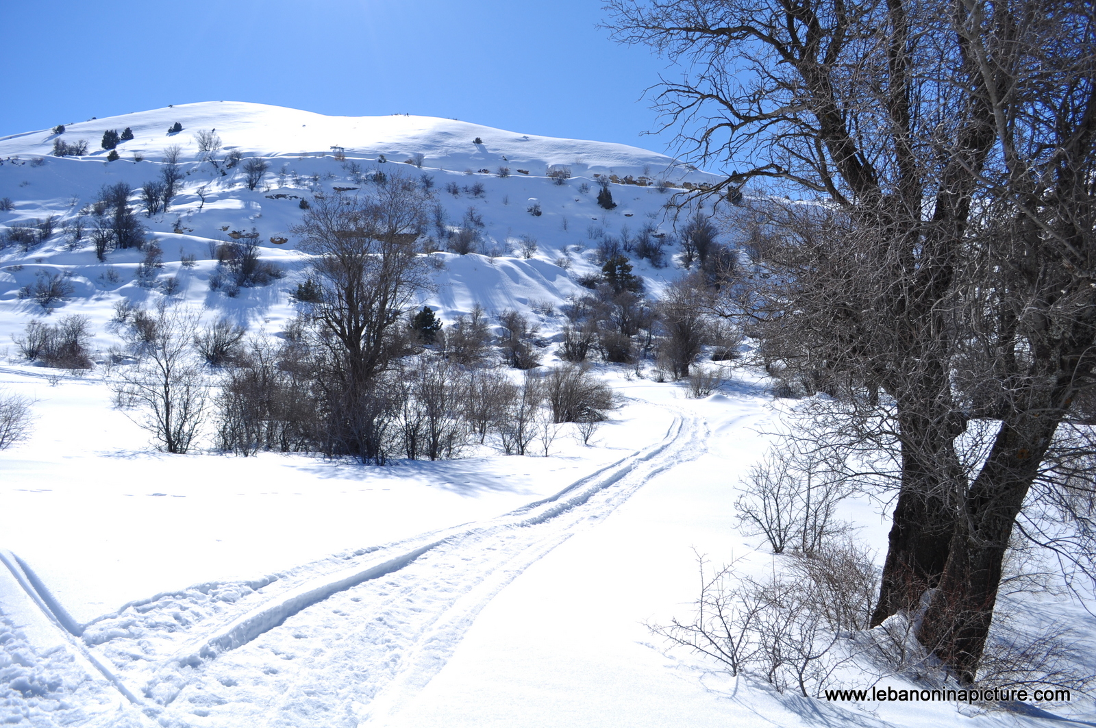 Snowshoeing Ehden Reserve (Horsh Ehden Winter 2012)