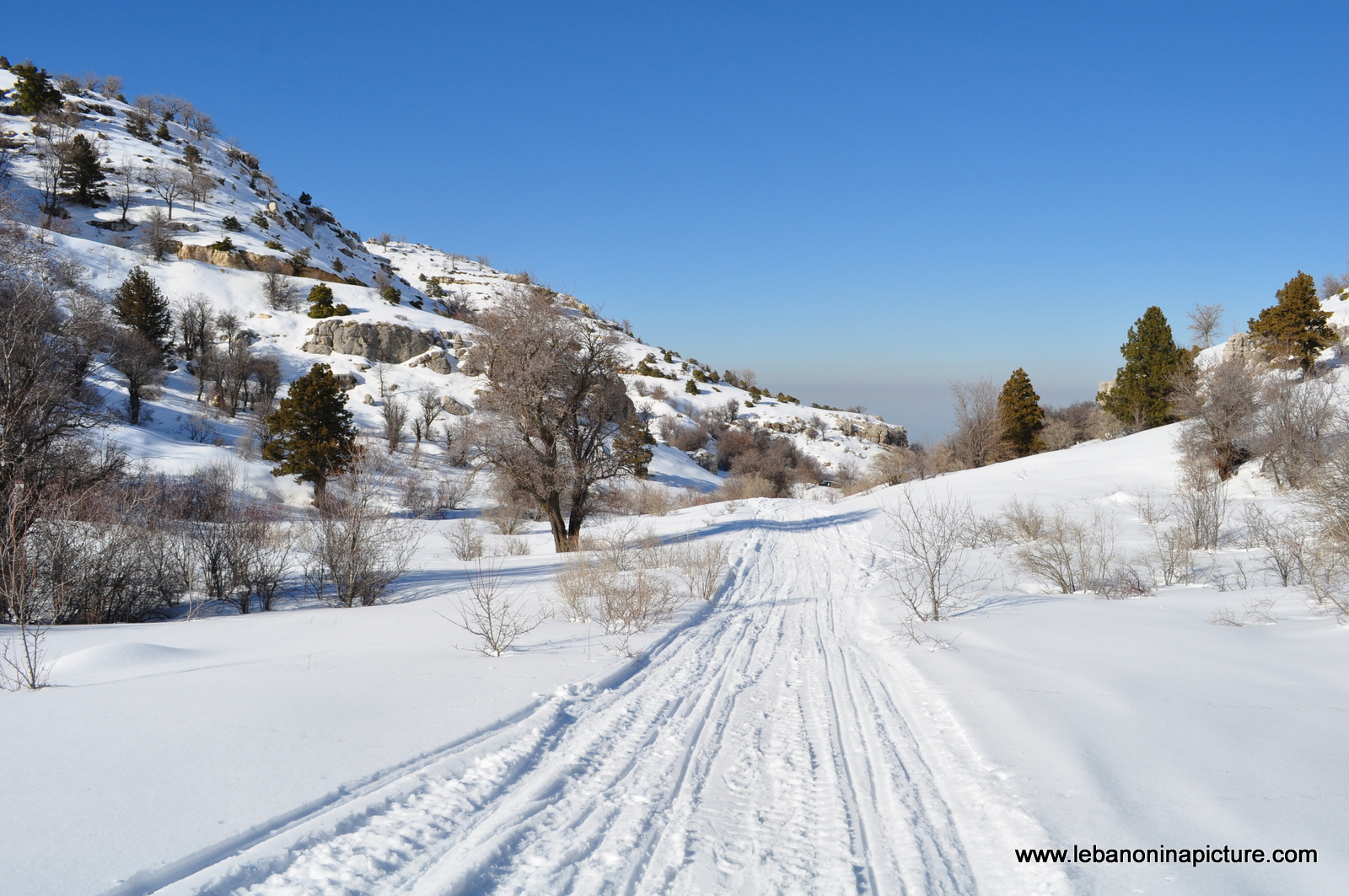 Snowshoeing Ehden Reserve (Horsh Ehden Winter 2012)