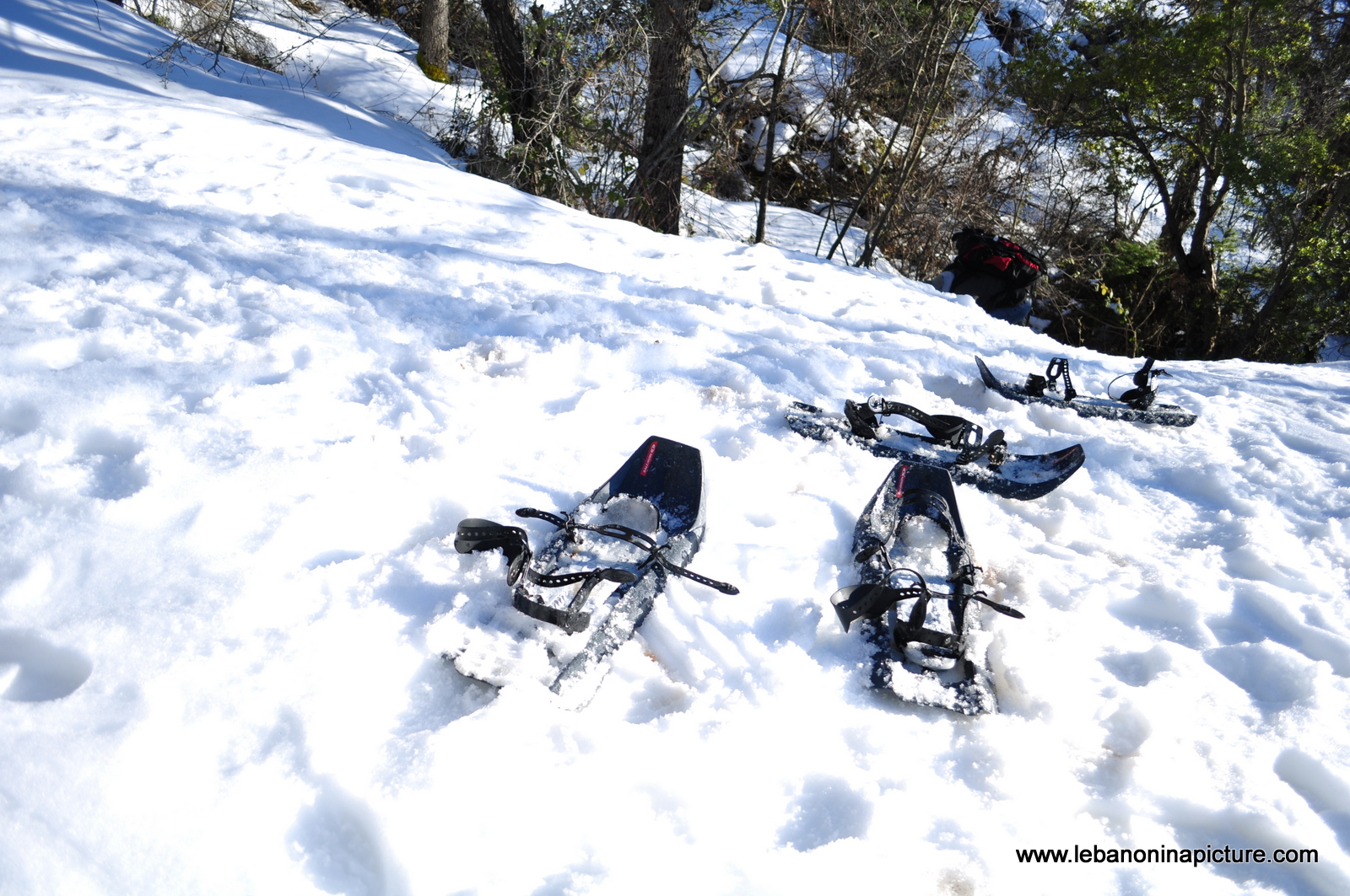 Snowshoeing Ehden Reserve (Horsh Ehden Winter 2012)