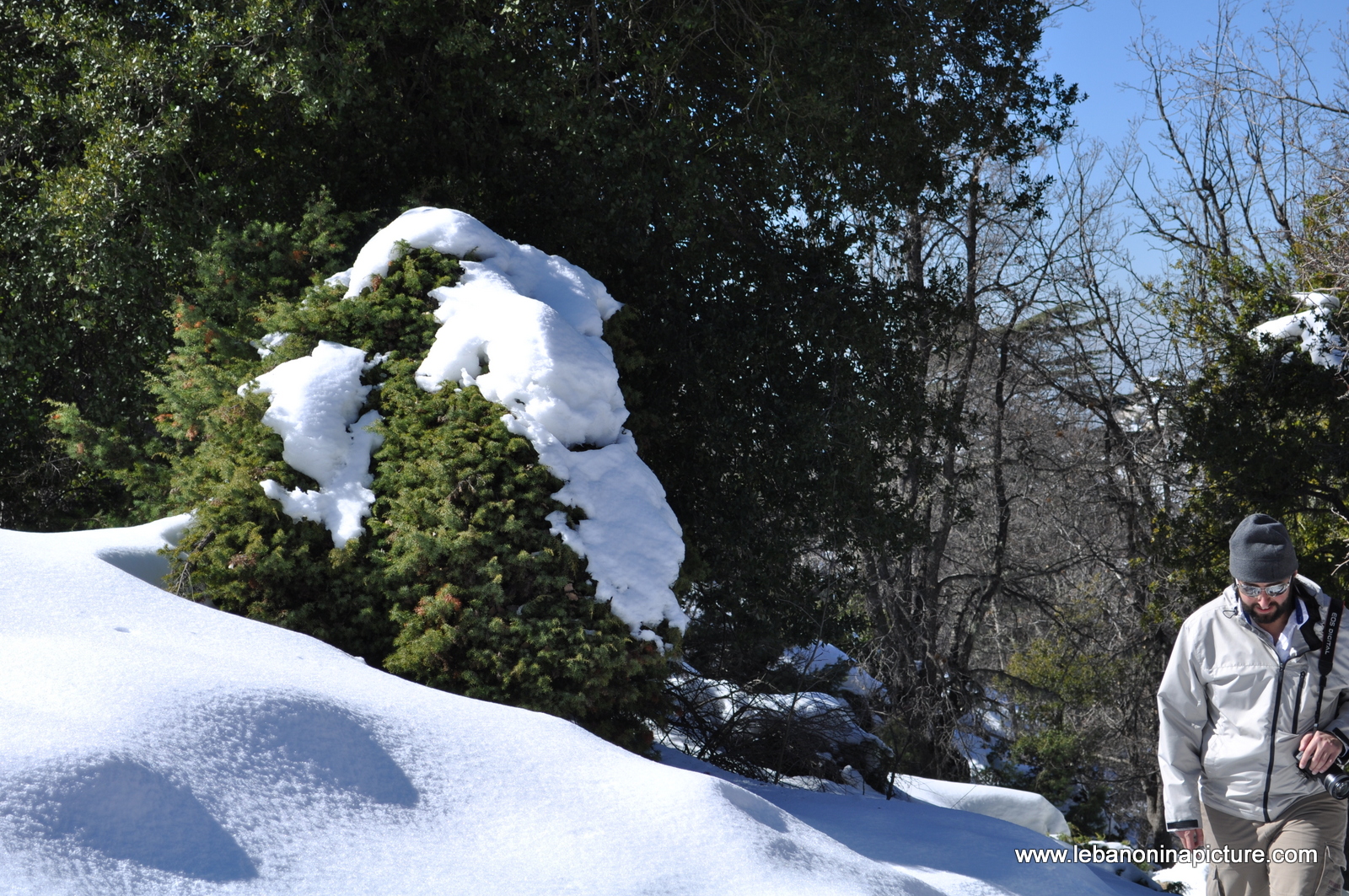 Snowshoeing Ehden Reserve (Horsh Ehden Winter 2012)