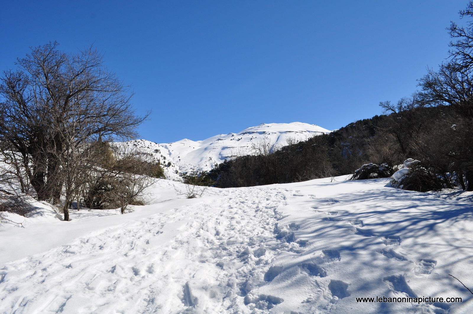 Snowshoeing Ehden Reserve (Horsh Ehden Winter 2012)