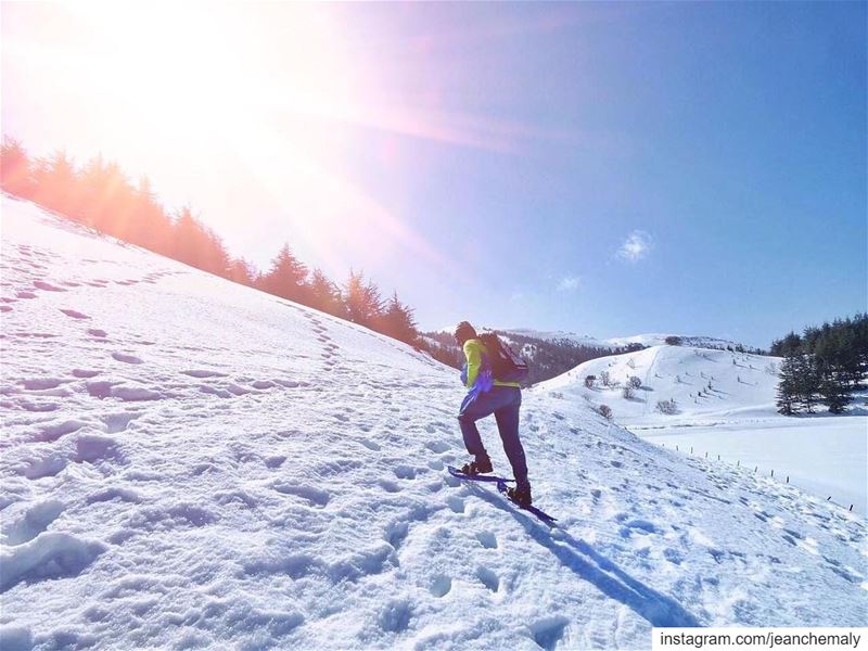  snowshoeing  hiketheworld🌎 ...