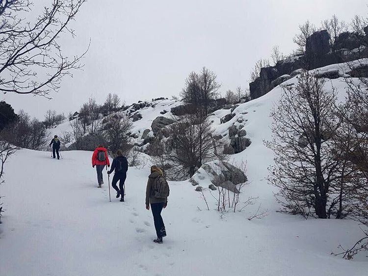  Snowshoeing in  JabalMoussa is one of a kind! ecotourismlebanon ... (Jabal Moussa)