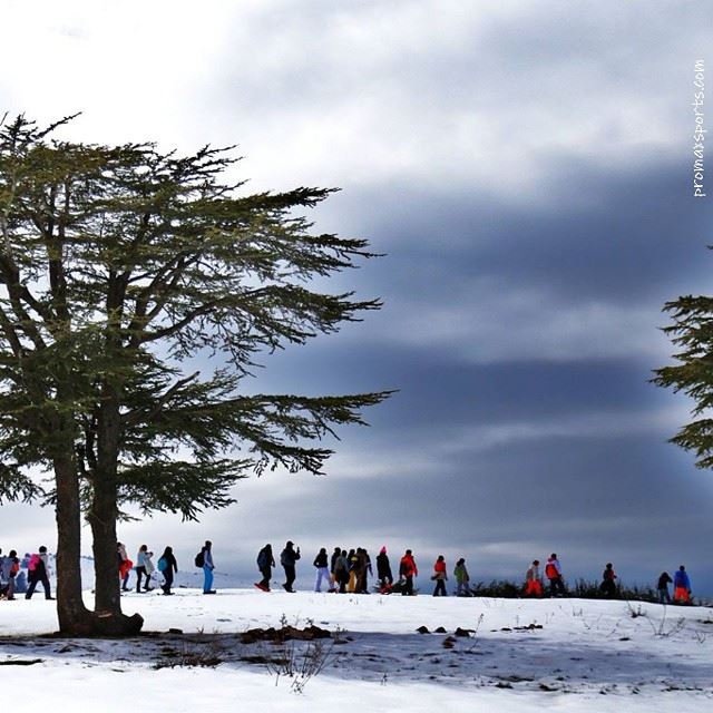  snowshoeing  north  lebanon @hadatheljebbeh Subscribe. promaxsports.com ...
