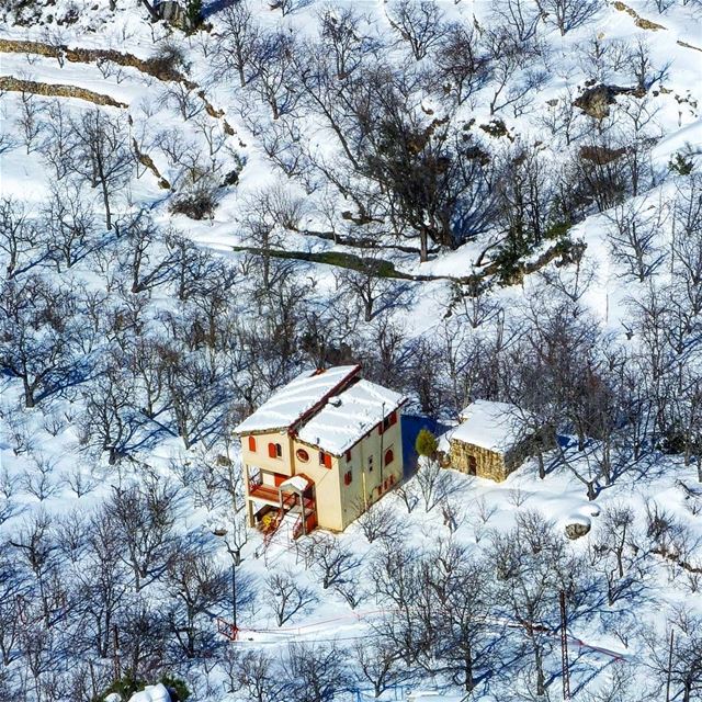  snowshoeinglebanon  explorelebanon  picoftheday  livelovelebanon ... (Horsh Ehden)