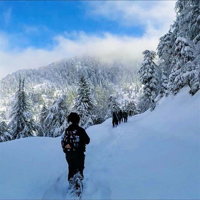  snowshoeinglebanon  explorelebanon  picoftheday  livelovelebanon ... (Heresh Ehden)