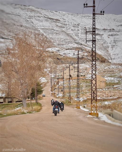 snowy days ...  lebanon  photography  photographylovers  photographyart ... (Faraya, Mont-Liban, Lebanon)