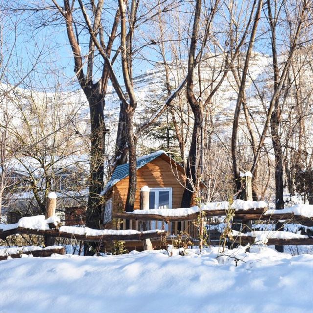 Snowy mornings be like ☝🏻••••••••••••••••••••••••••• Lebanon ... (El Laqloûq, Mont-Liban, Lebanon)