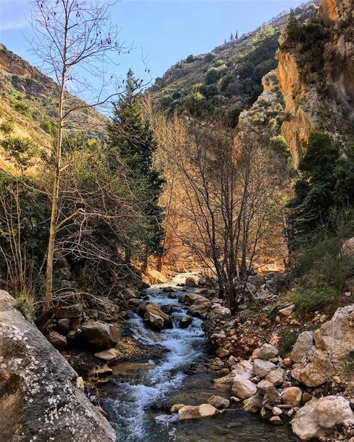 Some beautiful paths can't be discovered without getting lost 🗿... (Koûsba, Liban-Nord, Lebanon)