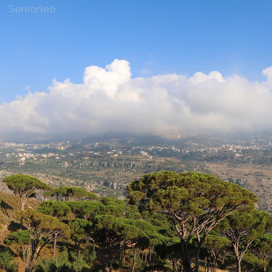 Some days you just have to create your own sunshine. beirut  lebanon ... (Ra'S Al Matn, Mont-Liban, Lebanon)