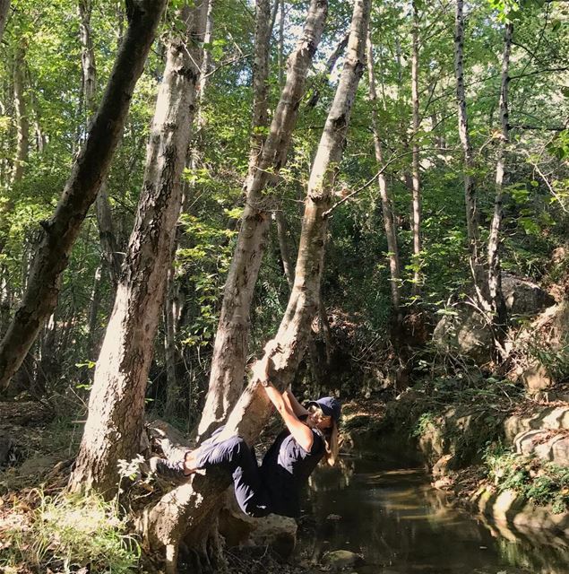 Some monkey business 🐒😉 beautifulforest  bkassine  jezzine  forest ... (Bkâssîne, Al Janub, Lebanon)