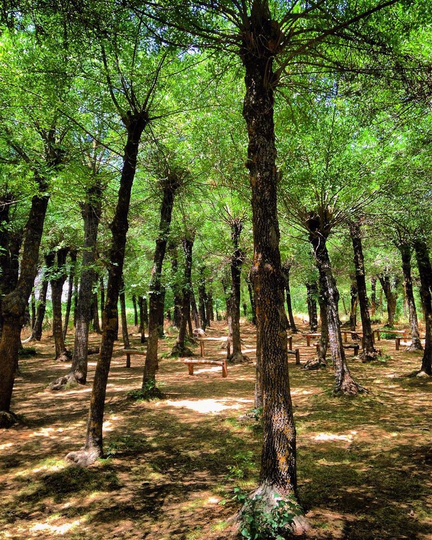 Some people look for a beautiful place ❤  peterwenmaken makes a place... (Deïr Taanâyel, Béqaa, Lebanon)