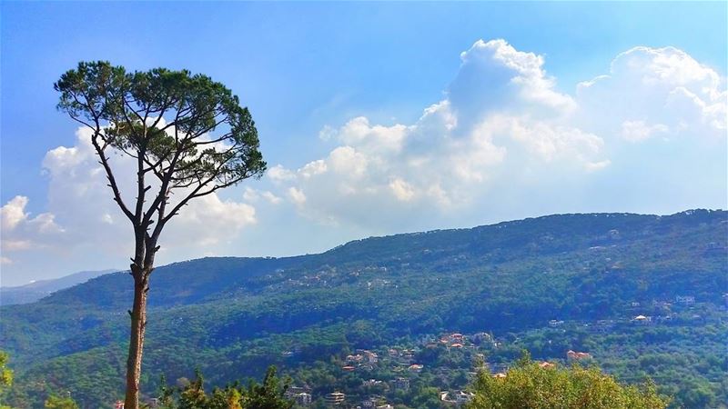 Sometimes it's better to be alone Nobody can hurt you.🌳☁  livelovebeirut ...