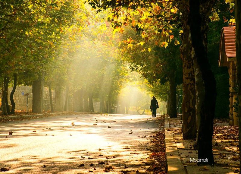 Sometimes loneliness makes the loudest noise... -_-_-_-_-_-_-_--__-_--_--_- (Sawfar, Mont-Liban, Lebanon)