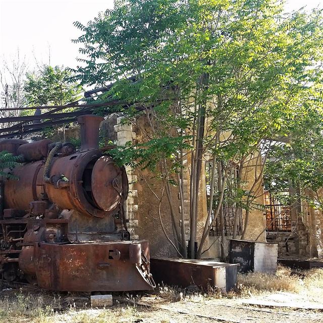 Sometimes old train can take us to beautiful place 🚂🚃🚃🚃  livelovebekaa... (Riyaq, Béqaa, Lebanon)