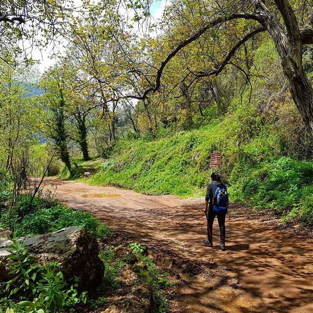 Sometimes you have to forget about everything and enjoy the calmness... (Wadi Qannubin, Liban-Nord, Lebanon)