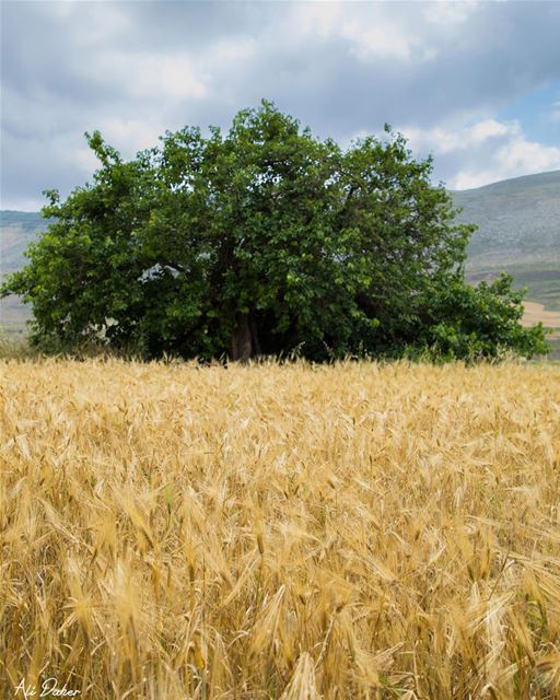 Somewhere far away..... hiking outdoors outdoorphotography outdoorlife... (Kfar Roummâne, Beyrouth, Lebanon)