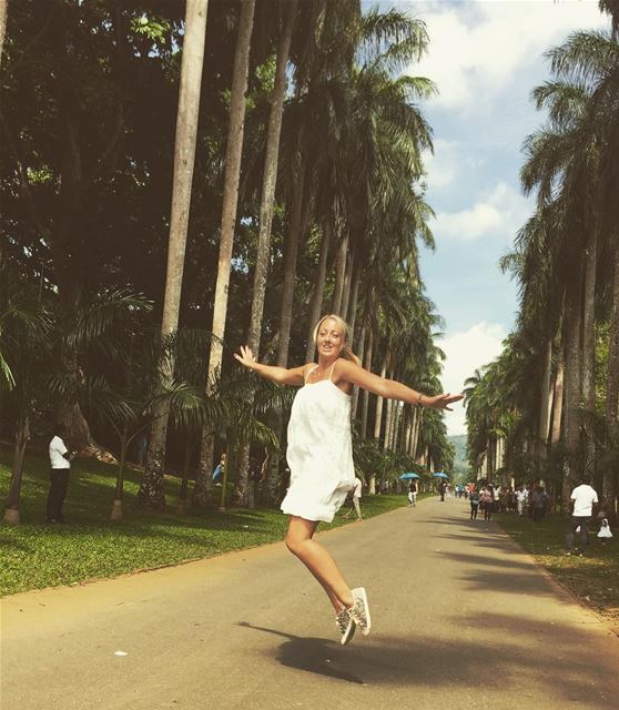 Spontaneity is the best kind of adventure 🙋‍♀️ lucytravels ...... (Royal Botanical Garden - Kandy, Sri Lanka)